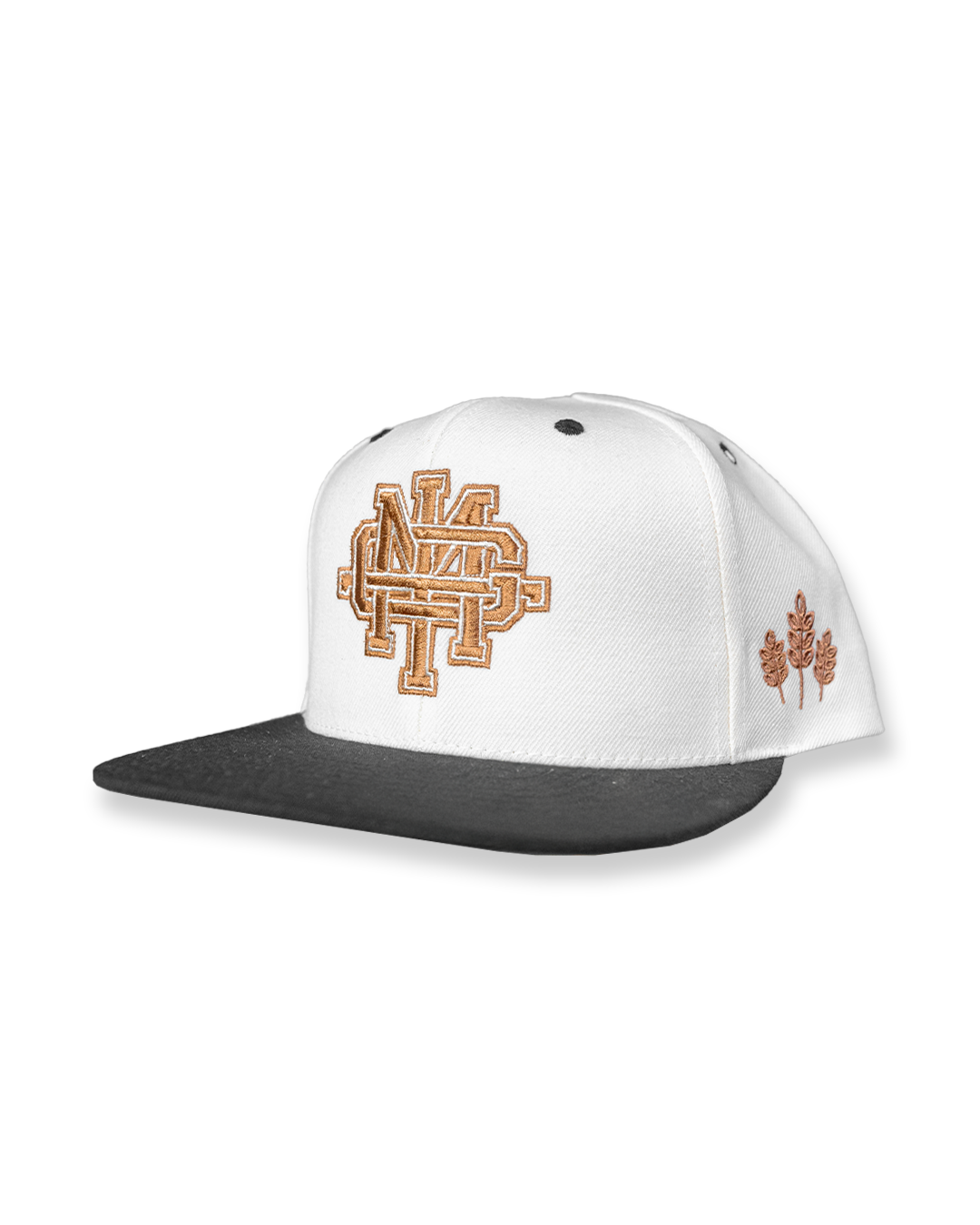 Fall Varsity Hat