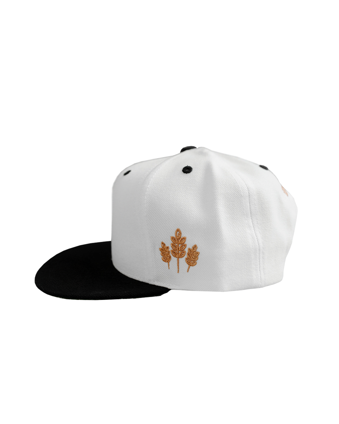 Fall Varsity Hat