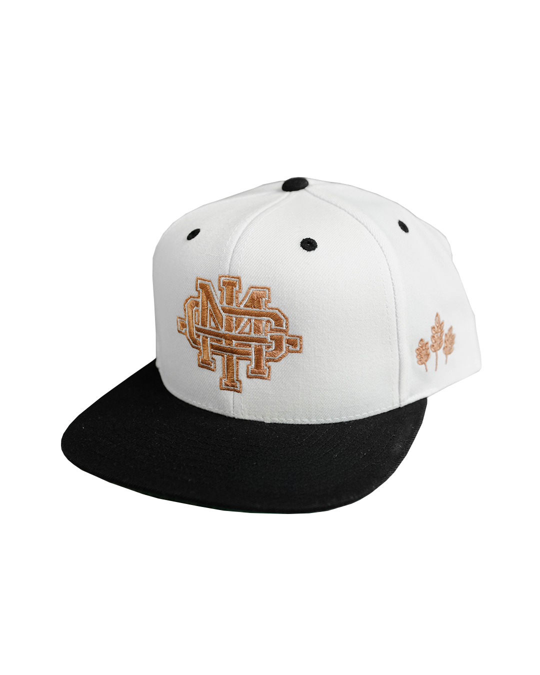 Fall Varsity Hat