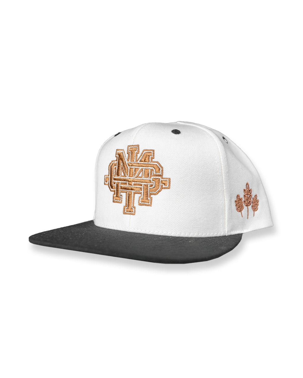 Fall Varsity Hat