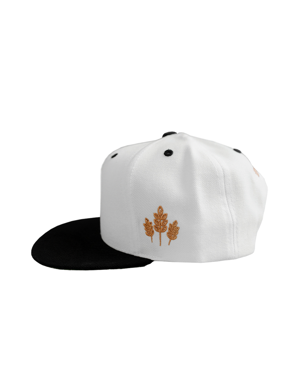 Fall Varsity Hat