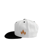 Fall Varsity Hat