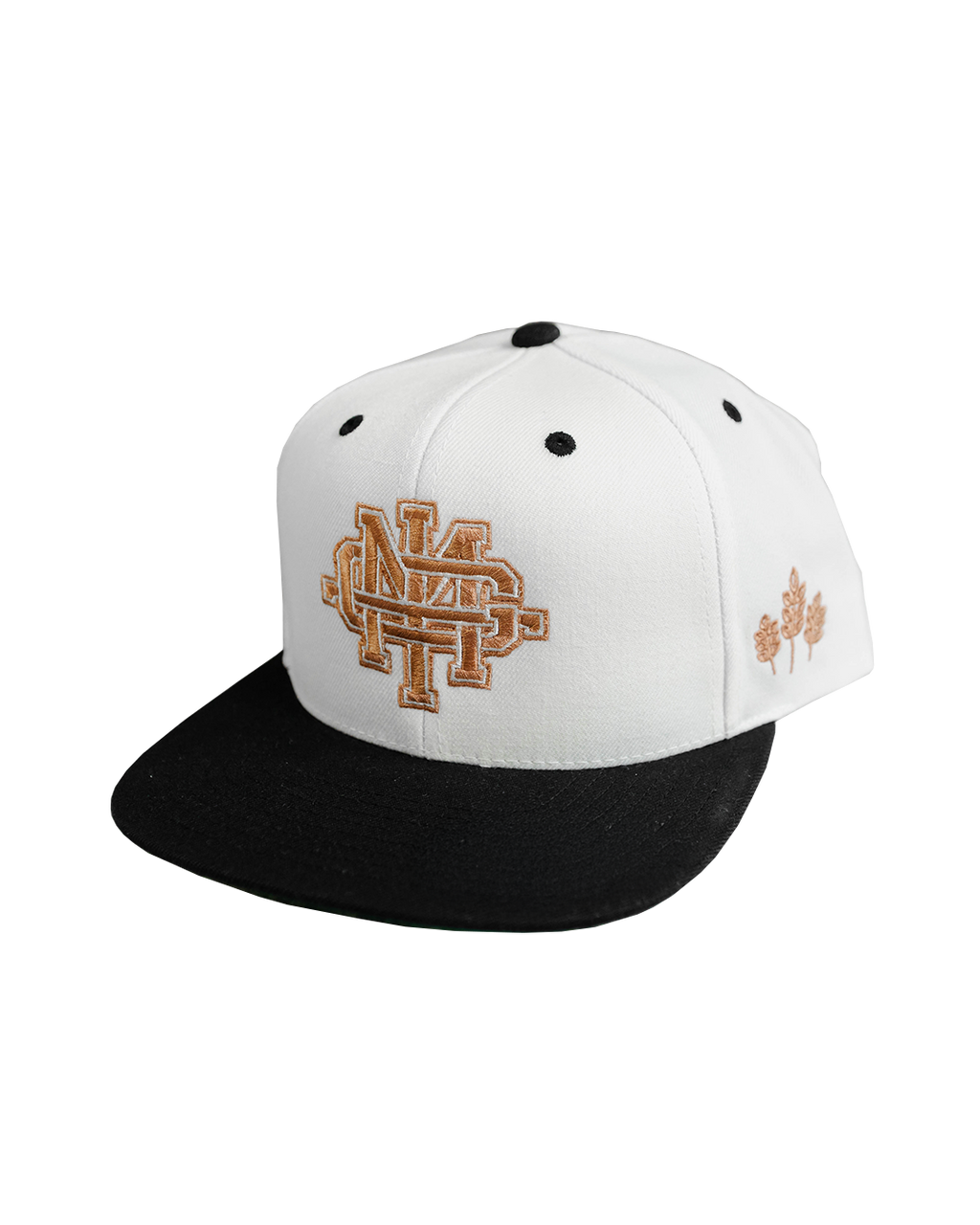 Fall Varsity Hat