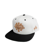 Fall Varsity Hat