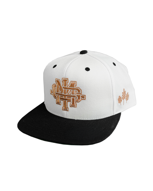 Fall Varsity Hat